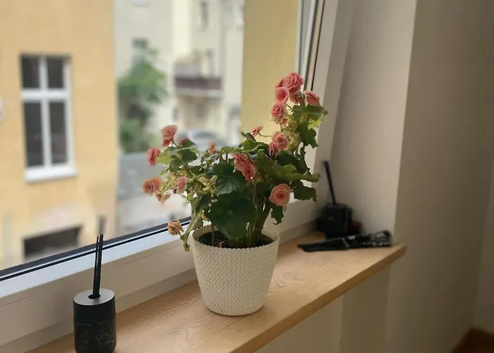 Cisza Na Placu Wolnosci Апартаменты *